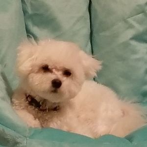 Meet your Posher, Mindy